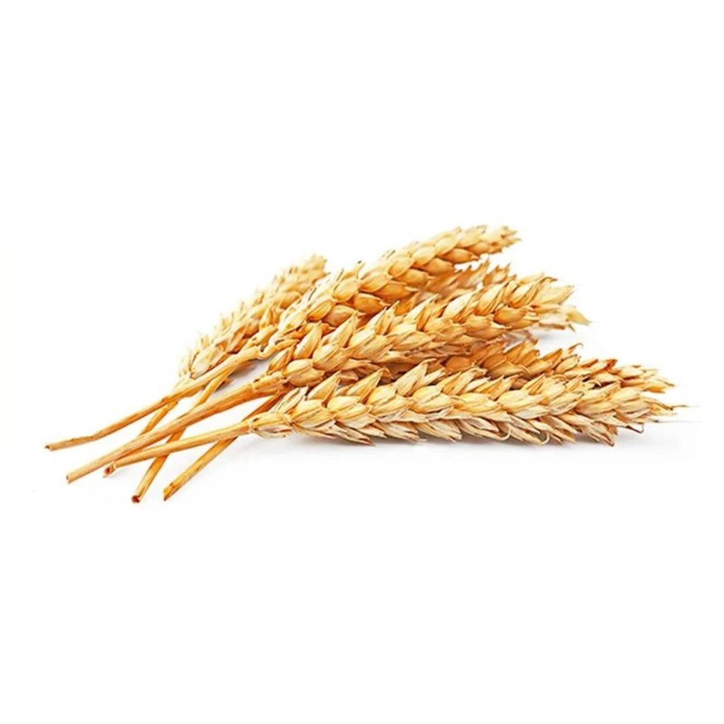 The Mighty Fluffy Shave Gel 75ml